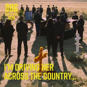 Two unruly animals. One unlikely friendship 🐾💛 🐕‍🦺 Watch #Dogmovie at home today. | Entertainment Film