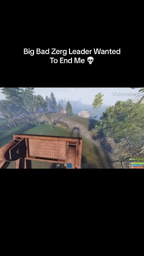 Understanding the Rust Gaming Experience