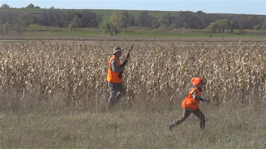 South Dakota Game, Fish and Parks hosting virtual class to prepare for Pheasant Opener