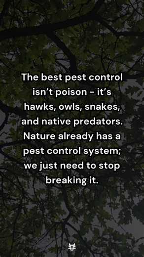 The best pest control... | Give A Shift About Nature