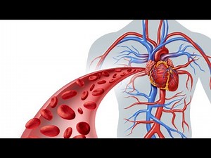 # tricks of shock CINDERELLA NURSING CLASSES (CNC)