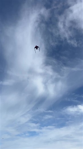 Kite Flying Fun at the Beach