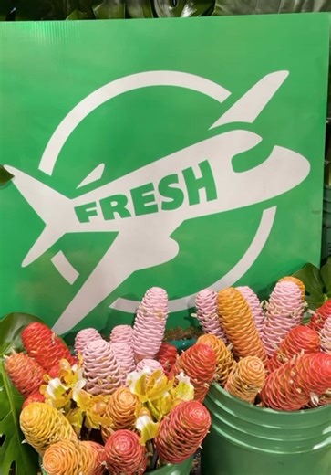 We went wild at @fngla_florida TPIE 🌴🐆 Last week was pure jungle energy—@jetfreshgrowers Hippy Psychedelic roses stealing the spotlight, tropicals turning heads, and an Oncidium tree that was truly out of this world Thank you to everyone who passed by, and major kudos to @olga_floral_designs_aifd_cfd and the marketing team for bringing the booth to life.