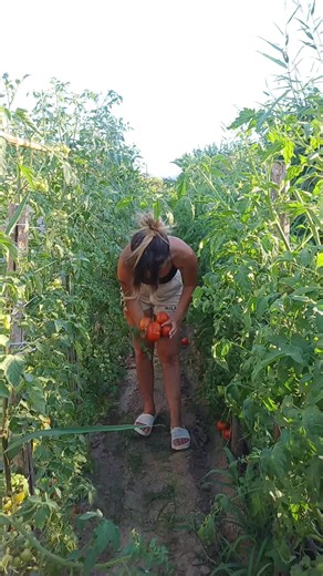 Puffin ASMR with Georgiana Joseph: Soothing Sounds