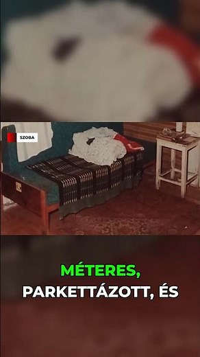 A véres igazolvány nyomában – A Török Flóris utcai kettős gyilkosság története
