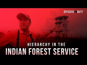 Hierarchy In The Indian Forest Service | IFS Pradyumn Gaurav | Informational Video