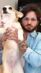 Jazz Ghost's new dog!