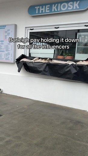 Thanks for the day off Alfie