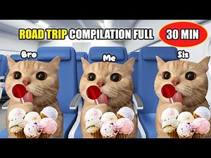 CAT MEMES FAMILY ROAD TRIP COMPILATION FULL 30 MINUTES