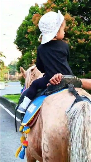naik Delman istimewa~lagu anak populer~#kuda #kudadelman #laguanakanak #shorts
