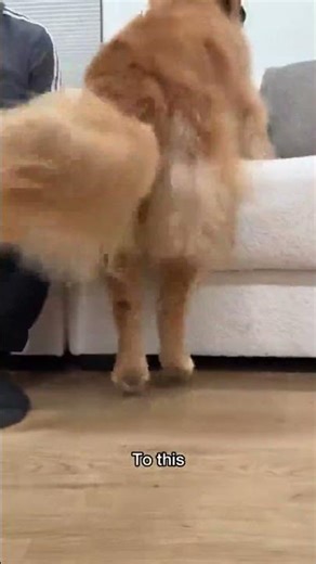 The way she can switch modes in the blink of an eye never ceases to amaze me… . . . #funny