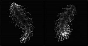 Organic-Looking Movement Created With Math Functions