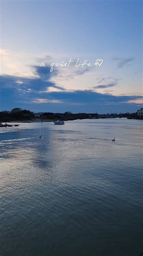 36 reactions | "Silence is one of the great arts of life."  Littlehampton | Littlehampton & Beyond | Facebook