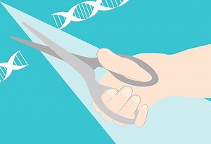 Edition génomique · Inserm, La science pour la santé