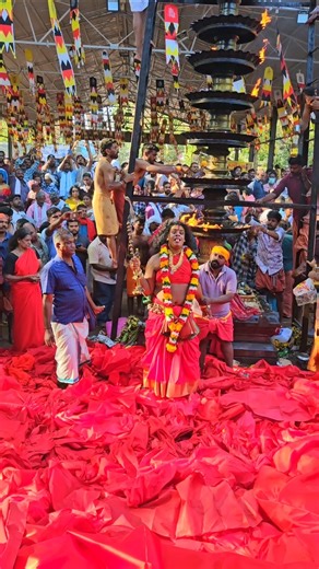 ഉടവാളും ചിലമ്പുമായി കാവിൽ കലിതുള്ളുന്ന കോമരം🔥🙏#kodungallurbharani2026 #bhadrakali #meenabharani #om