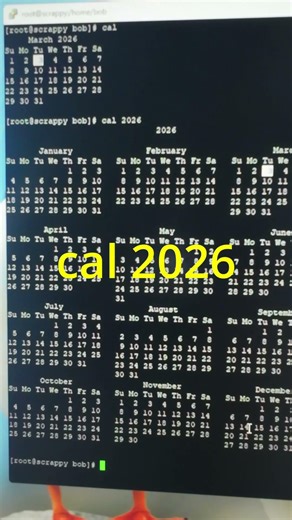 Display any year's calendar in Linux #coding #tips #shorts
