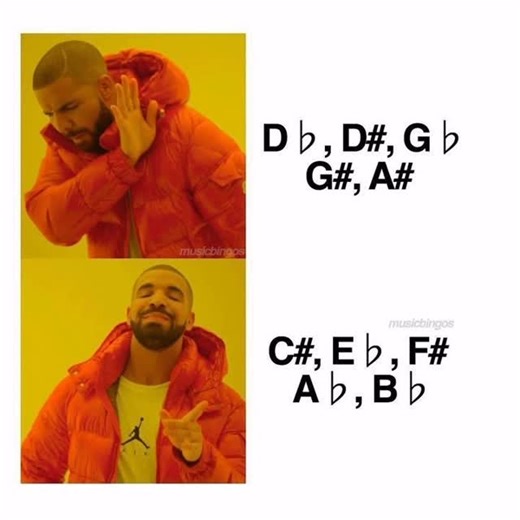 Piccolo Fingering Chart + Blog on Instagram: "Some sharps and flats are better than others… Share this with your music friends! #flutememes #fluteplayer #piccoloflute"