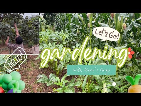 Choosing Peace Over Pressure | My Simple Life In Bulawayo