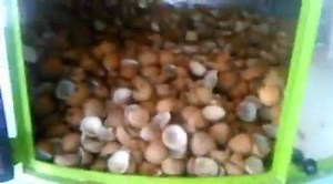 Coconut dryer machine | Aayush Engineering Works