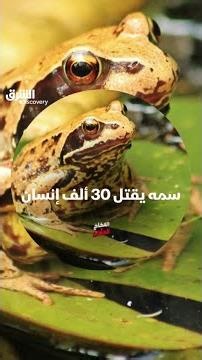 سمه يقتل 30 ألف إنسان