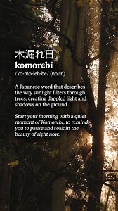 ☀️🌿 Sunlight filtering through trees. A reminder that beauty doesn’t ask for attention—it just shows up. | Calm