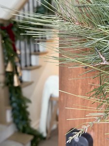 Come Stay Awhile on Reels