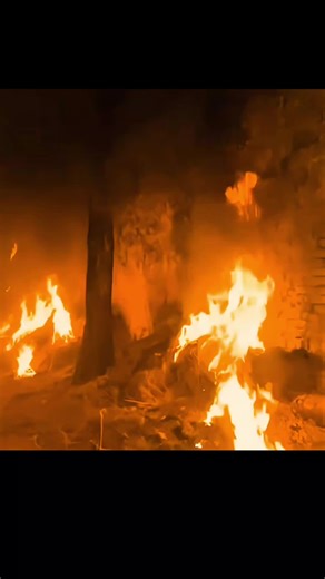 unexpected ending #fyp #movies #movie