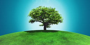 Crafting Measurable Metrics for Digital Transformation