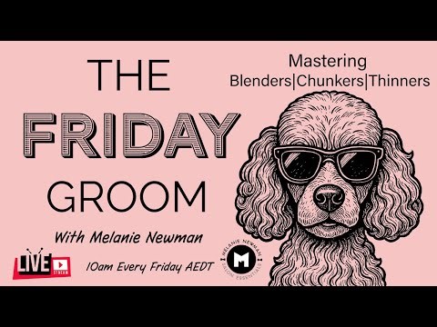 Blenders vs. Chunkers vs. Thinners — Dog Grooming Tools Explained | When, How and Why to Use Them