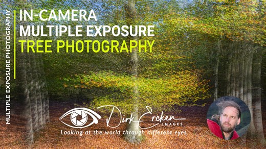 In-camera Multiple Exposure Tree Photography