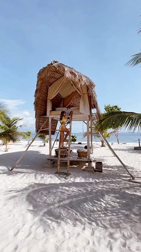 8K views · 4.1K reactions | Breakaway from civilization 李 Embrace the...