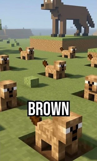 Discover the secret language of prairie dogs! #AnimalFacts #PrairieDogs #WildlifeCommunication