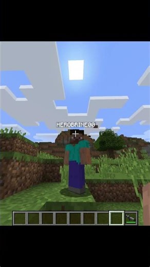 What would you do? #minecraft #minecrafthumor #memes #minecraftmemes