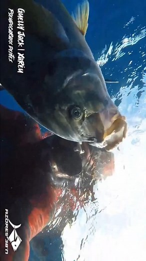 1.2K views · 365 reactions | Enjoy Life  | Gui Bruges - Spearo & Island Life | Facebook