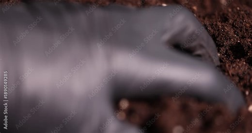 take black fertile soil mixed with peat and chernozem to improve crop quality, part of the land that is used for seedlings and for mixing with less fertile land for agriculture