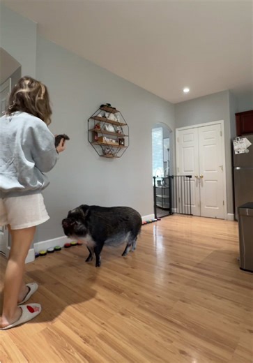 Never a dull moment that’s for sure ☝🏼 | Merlin And Arthur