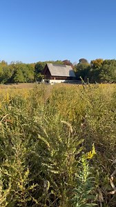 82 reactions · 7 comments | A moment for the Marjorie Powell Allen Chapel. ❤️ | Powell Gardens | Facebook