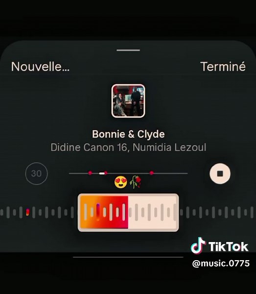 Exploring the Legacy of Bonnie & Clyde in Music