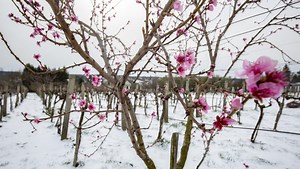 Early spring snowfall is 1st of the year for many across southeast Europe