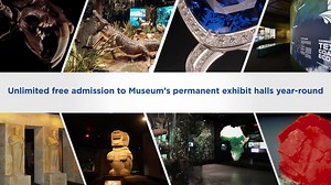 18K views · 121 reactions | Houston Museum of Natural Science on Reels | Facebook