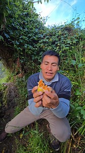 Alguna vez comiste es fruta, mas conocida como el purupuru p con que nombre lo conocen 😋🤝🏻🇵🇪#purupuru #campo #viralreels #Perú #Ancash | Domingo de la Selva