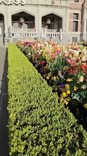 Gazing at Spring Blooms, The Empress Hotel, Victoria BC, TourRadar from Tracey J. 🇨🇦