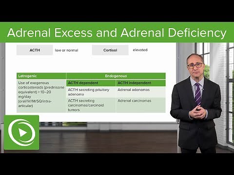 Adrenal Excess and Adrenal Deficiency – Endocrinology | Lecturio