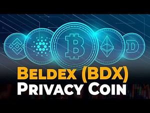 What is the Beldex (BDX) Privacy Coin?