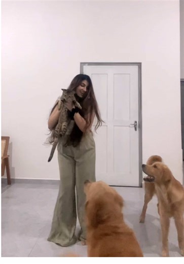 Celebrate Valentine's Day with Love and Joy