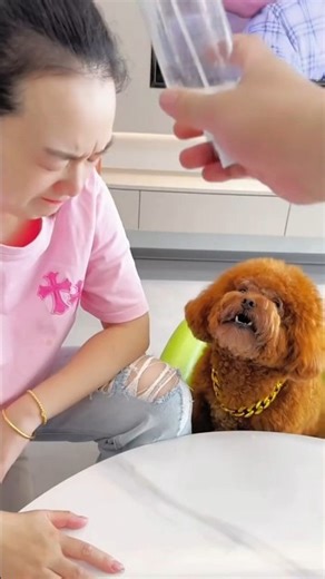 Xiao Bei defends her mother and retaliates against Old Lu #cho #tieuboi #benhme