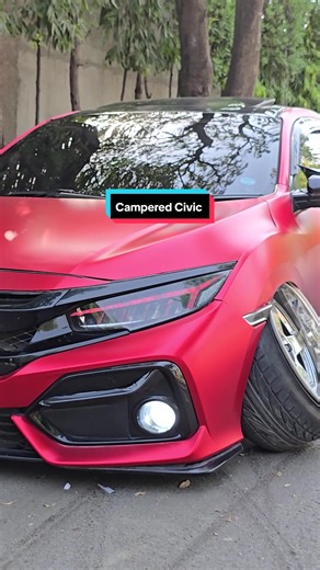 نایاب موڈیفائیڈ کیمبیرڈ سیوک کے بارے میں آپ کا کیا خیال؟