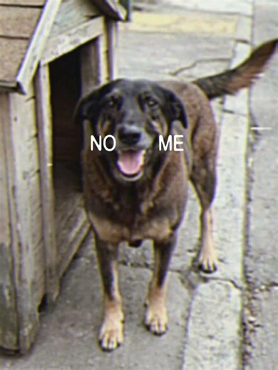 JUSTIÇA PELO ORELHA!!!!!