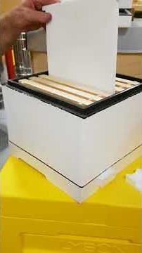 LYSON Queen Rearing Nuc