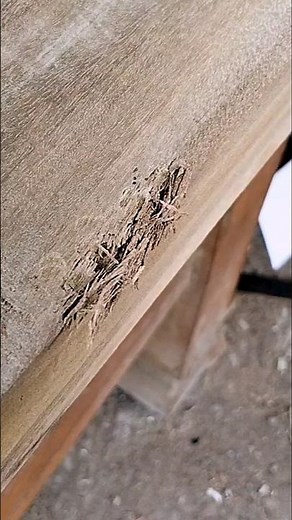 Tipps und Tricks für Schreiner #woodworking #ideas #art #creatif #satisfyngvideos #fypシ #diy #reels